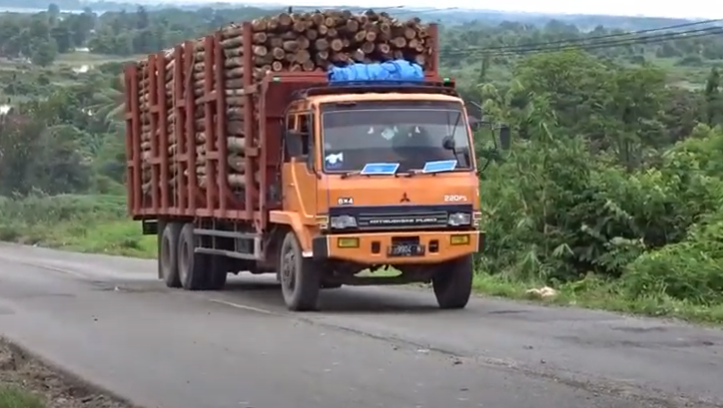 Keunggulan Truk Mitsubishi Fuso Sebagai Kendaraan Logging | Sardana